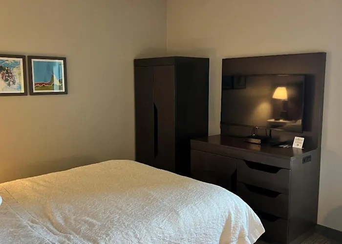 Hampton Inn By Hilton Montrose